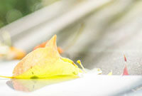 治娜关系紧 治娜关系紧