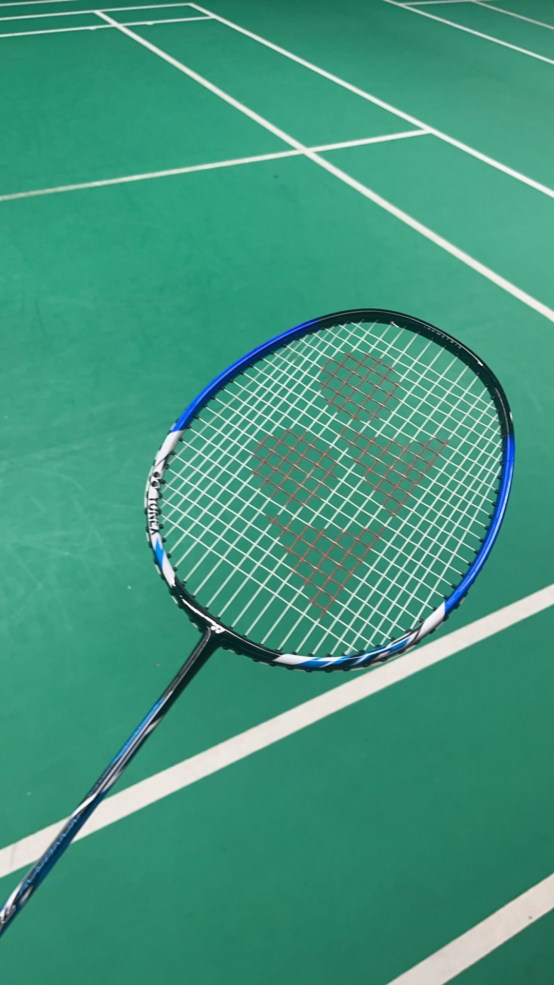 短短一年合 短短一年合