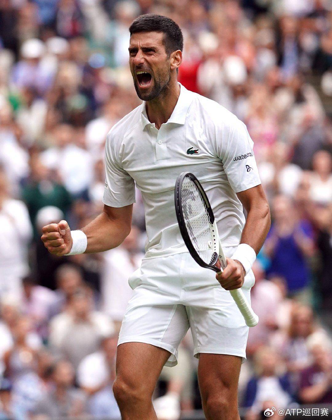 充分发挥了 充分发挥了