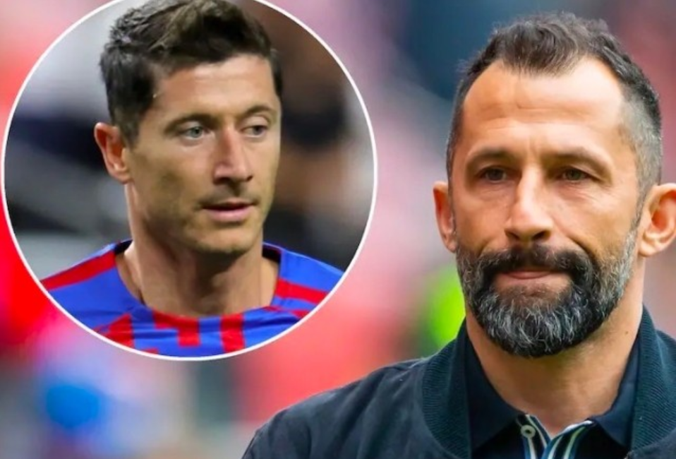 荷兰对阵奥 荷兰对阵奥